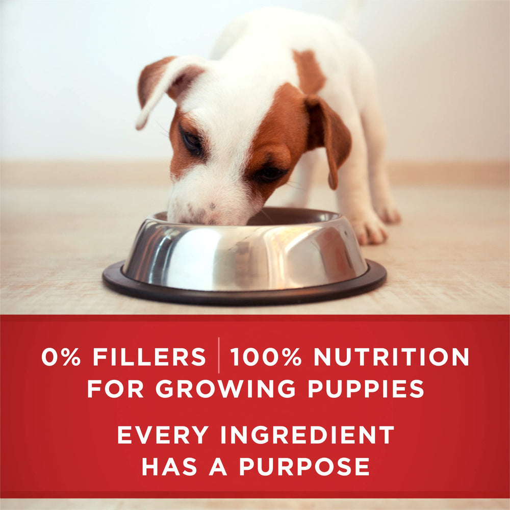 Purina ONE can beside ruler showing 13 oz size for portion planning
