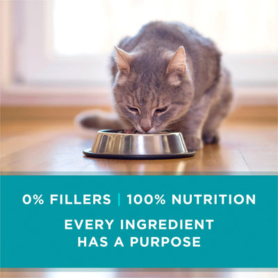 Purina ONE 3 oz can beside a measuring spoon for portion control benefit
