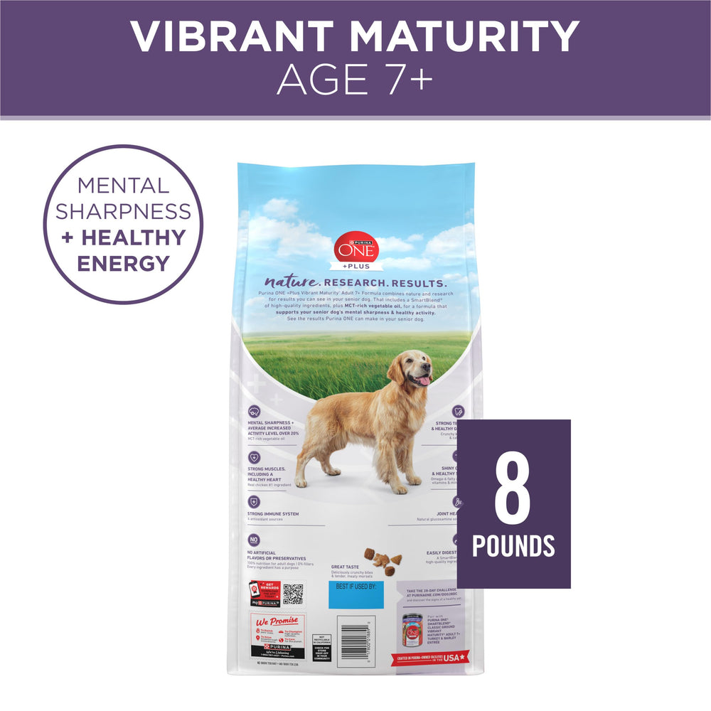 Purina ONE vida diaria en patio con perro activo y movilidad mejorada