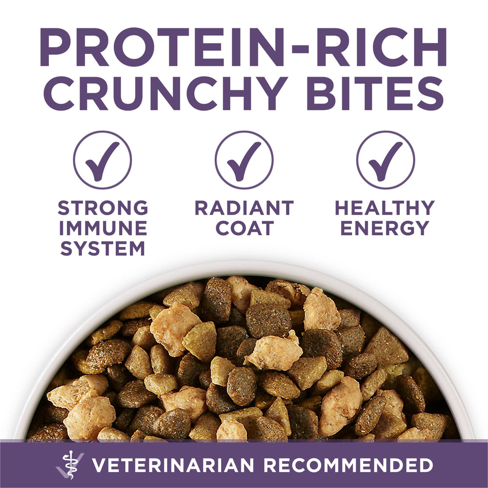 Purina ONE ración en plato para comparar porciones y control de peso