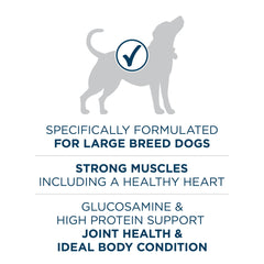 Purina ONE serving in bowl beside a ruler for portion scale