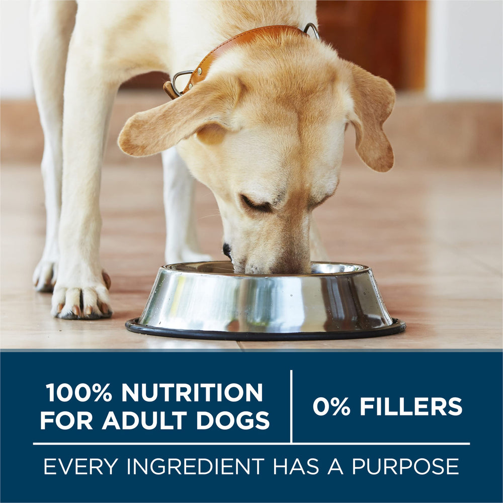 Purina ONE kibble with teeth graphic indicating dental support
