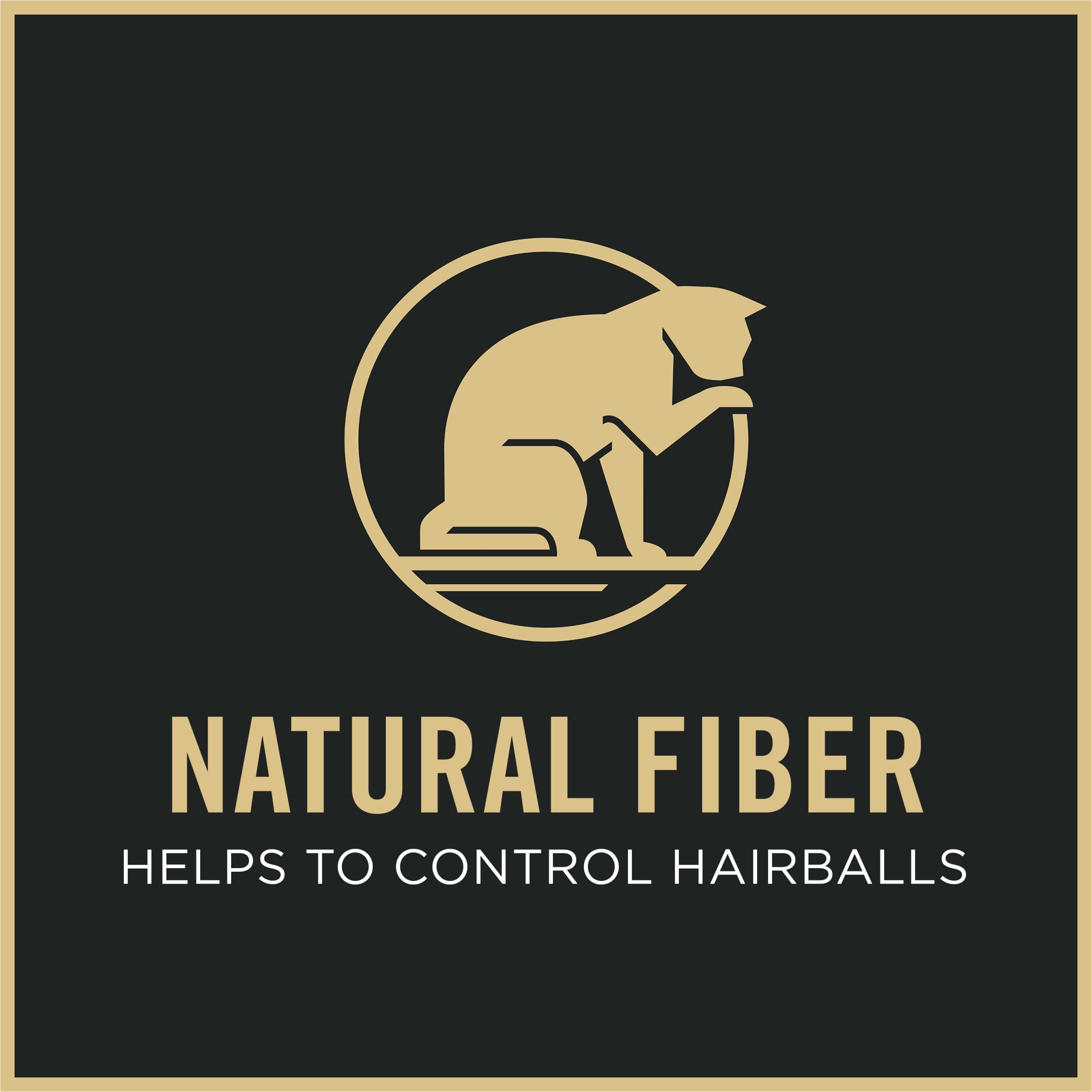 Purina Pro Plan ambiente de hogar que apoya bienestar felino interior