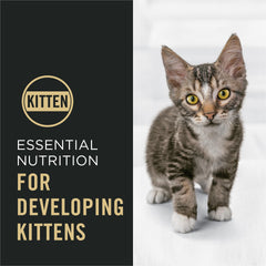 Purina Pro Plan bol servido con kibble y trozos para aceptación rápida