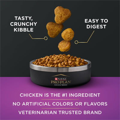 Purina Pro Plan bol con pienso y trozos de pollo, mayor palatabilidad
