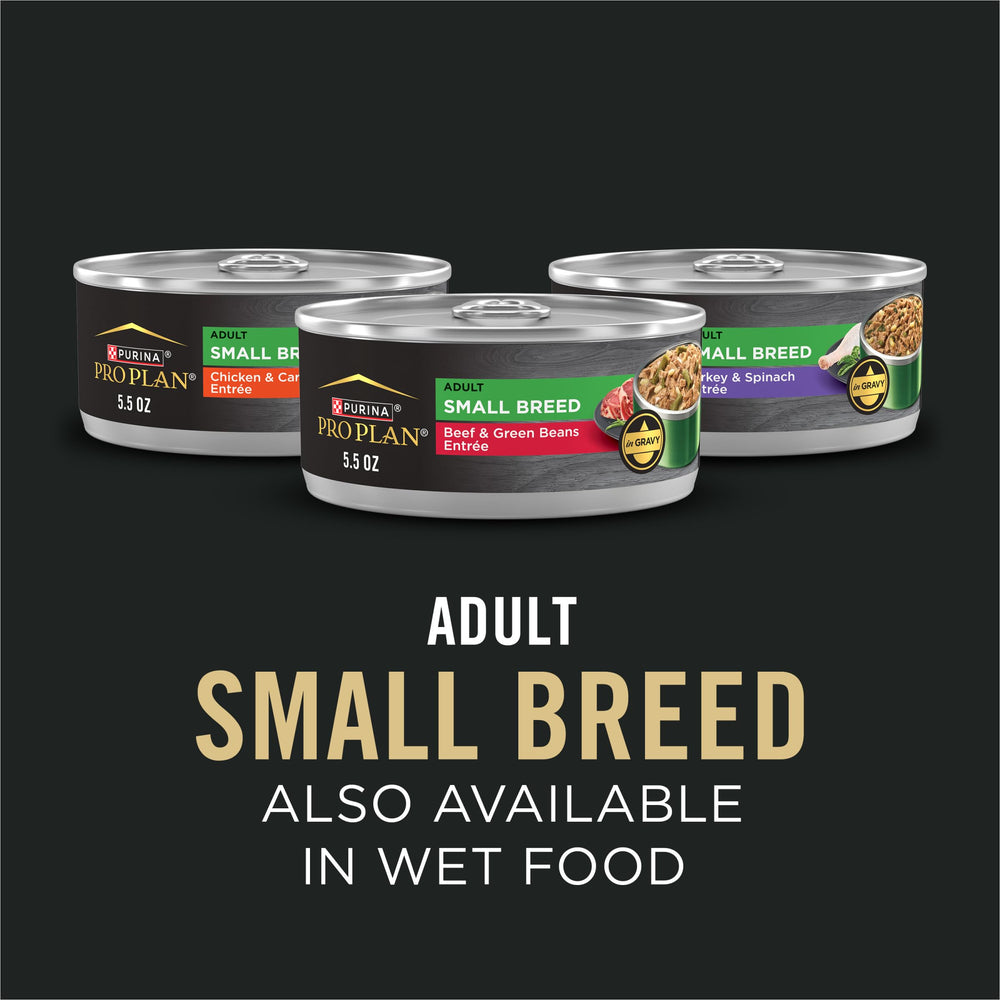 Purina Pro Plan bolsa 6 lb junto a objetos para ver escala y almacenamiento