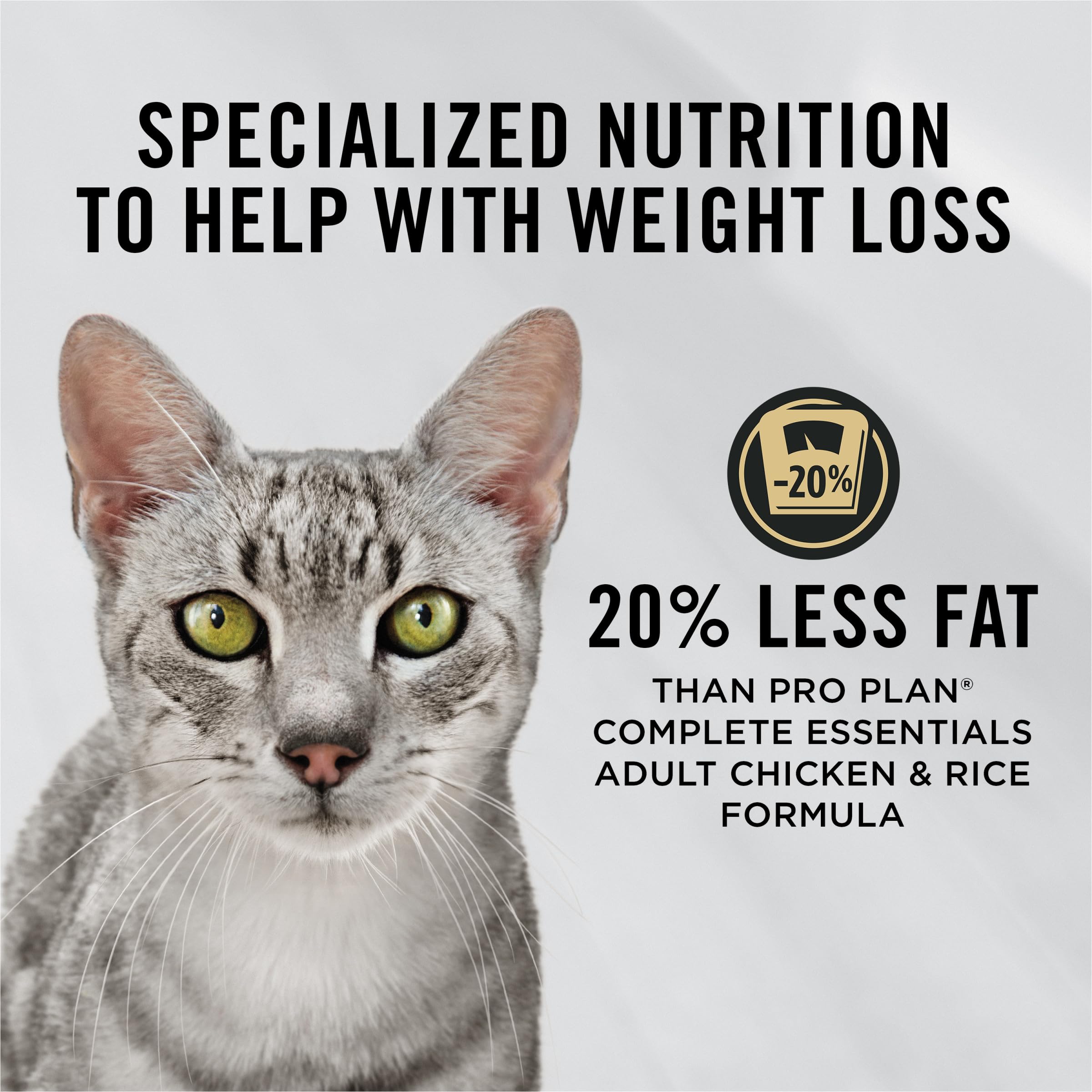 Purina Pro Plan bowl of kibble in home setting promoting healthy feeding