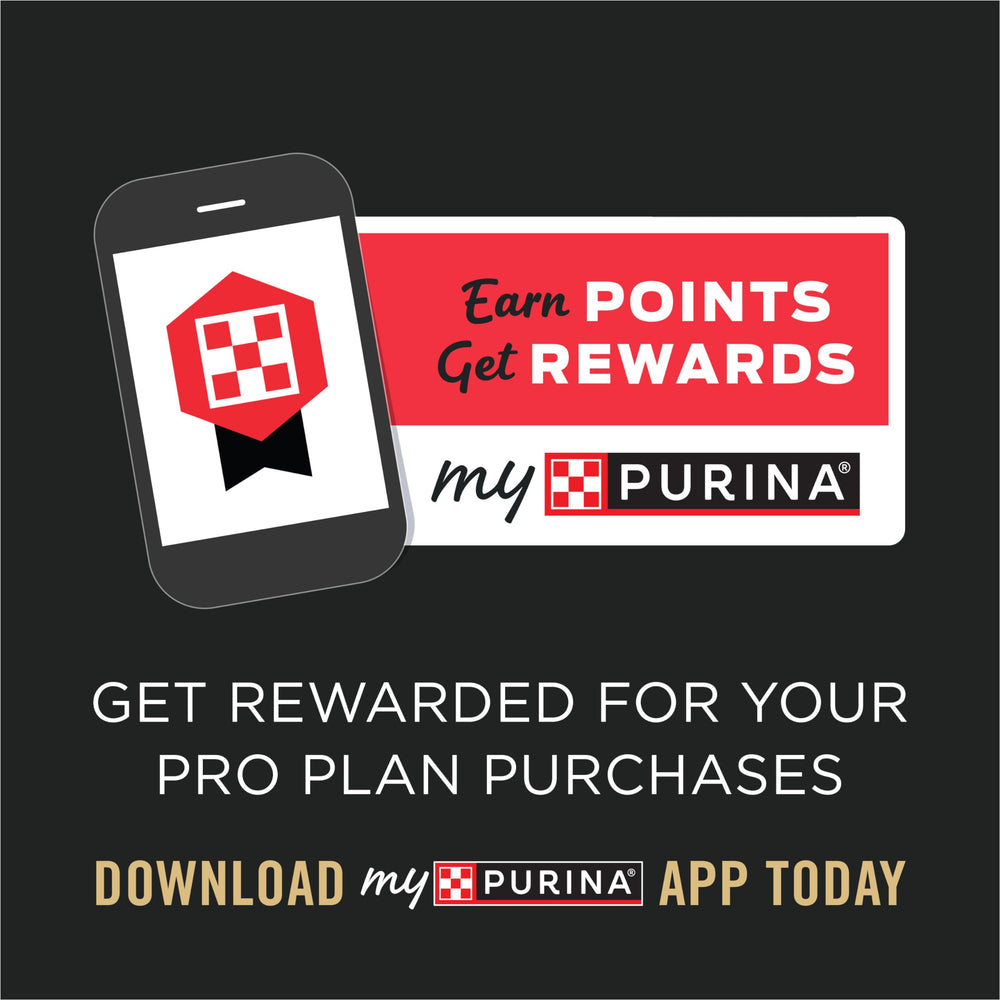 Purina Pro Plan caja de 24 latas apiladas, conveniente para compras a granel