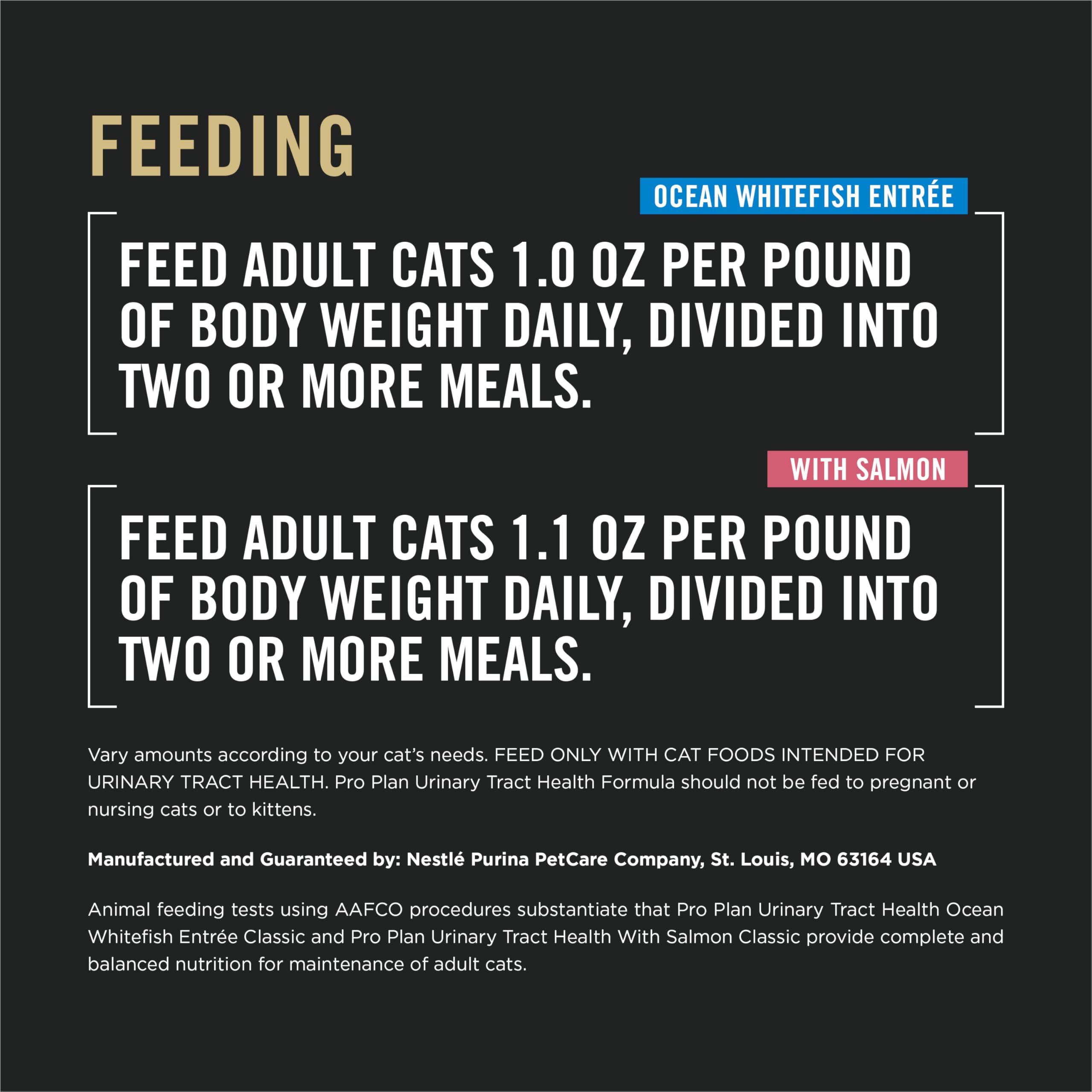 Purina Pro Plan comparación tamaño con gato, raciones individuales visibles