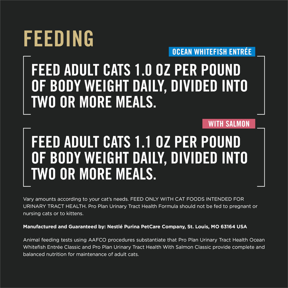 Purina Pro Plan comparación tamaño con gato, raciones individuales visibles