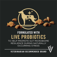 Purina Pro Plan croqueta y trozos desmenuzados destacando textura y sabor