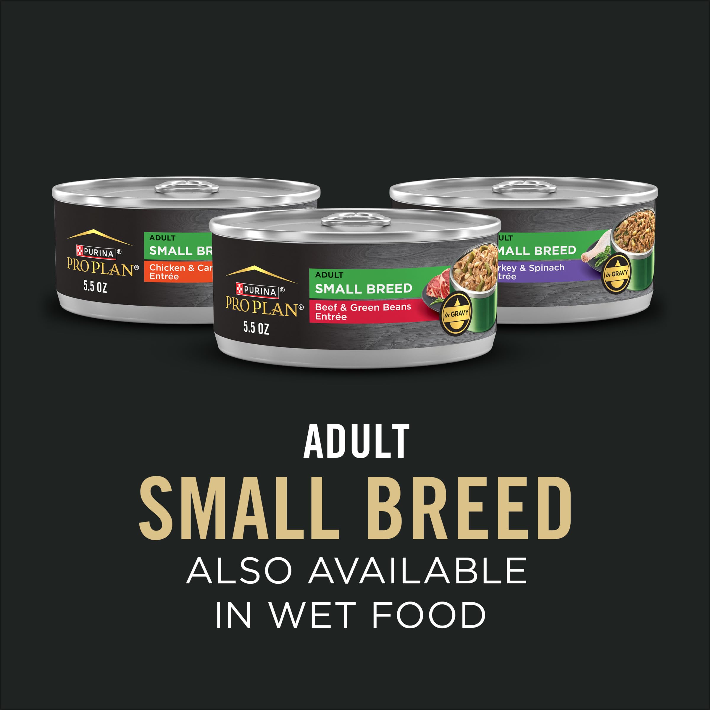 Purina Pro Plan perro feliz comiendo en ambiente hogareño y energía equilibrada