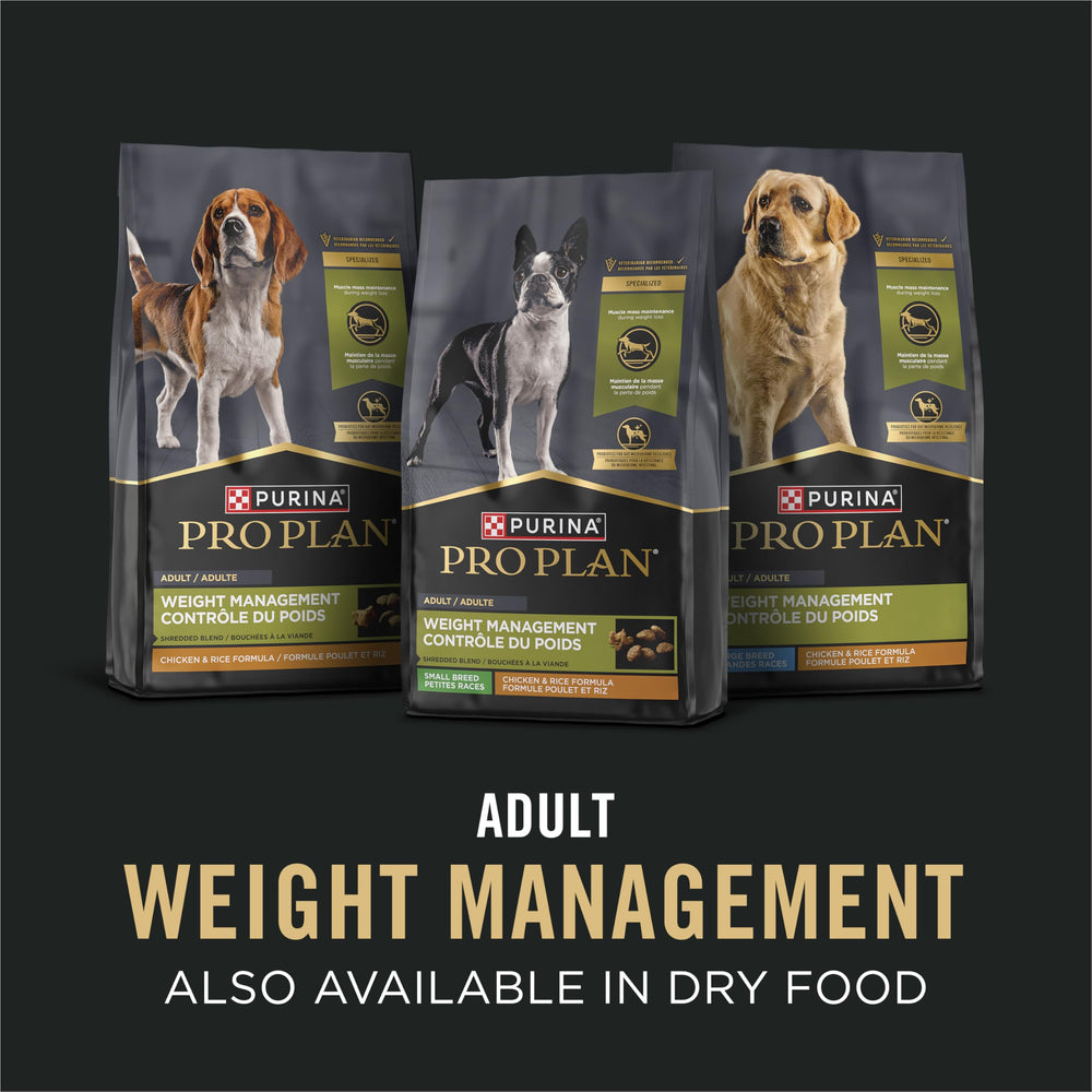 Purina Pro Plan perro satisfecho en ambiente familiar, apoyo a bienestar y pelaje