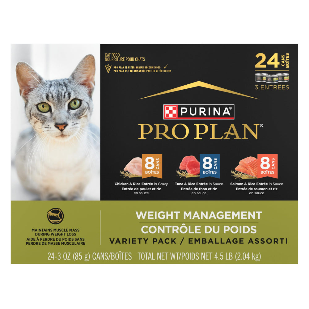 Purina Pro Plan gato comiendo en entorno hogareño, beneficio disfrutabilidad