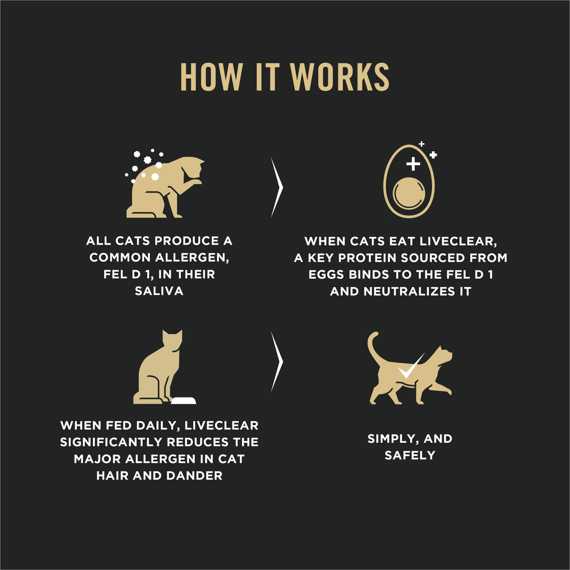 Purina Pro Plan gato comiendo, facilita transición y aceptación del alimento