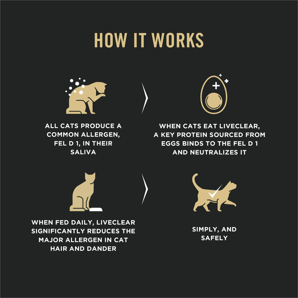 Purina Pro Plan gato comiendo, facilita transición y aceptación del alimento