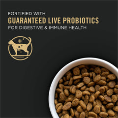 Purina Pro Plan textura del kibble, croquetas equilibradas para mantenimiento muscular