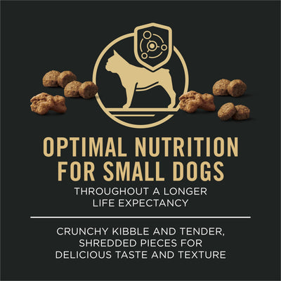 Purina Pro Plan perro pequeño comiendo en cocina, promueve aceptación