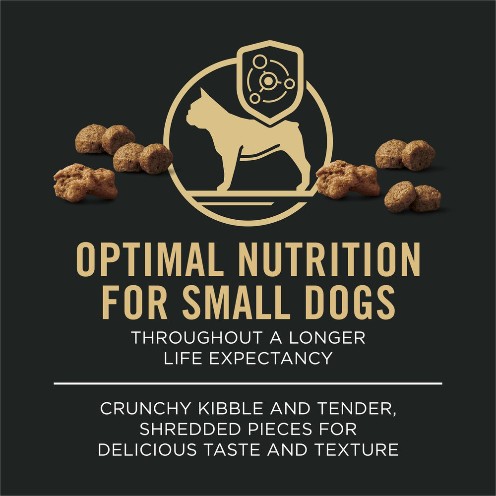 Purina Pro Plan perro pequeño comiendo en cocina, promueve aceptación