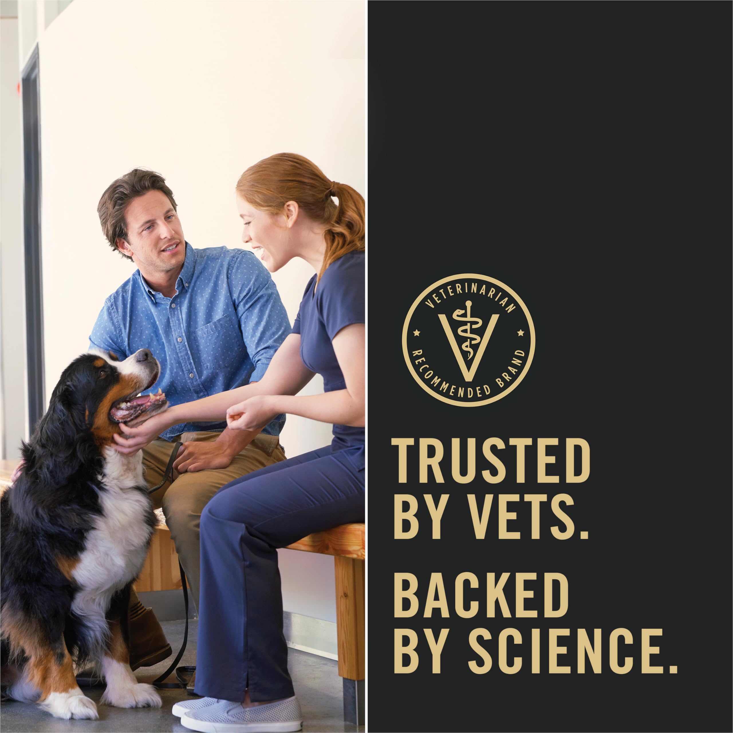 Purina Pro Plan perro adulto comiendo, aceptación y disfrute garantizado