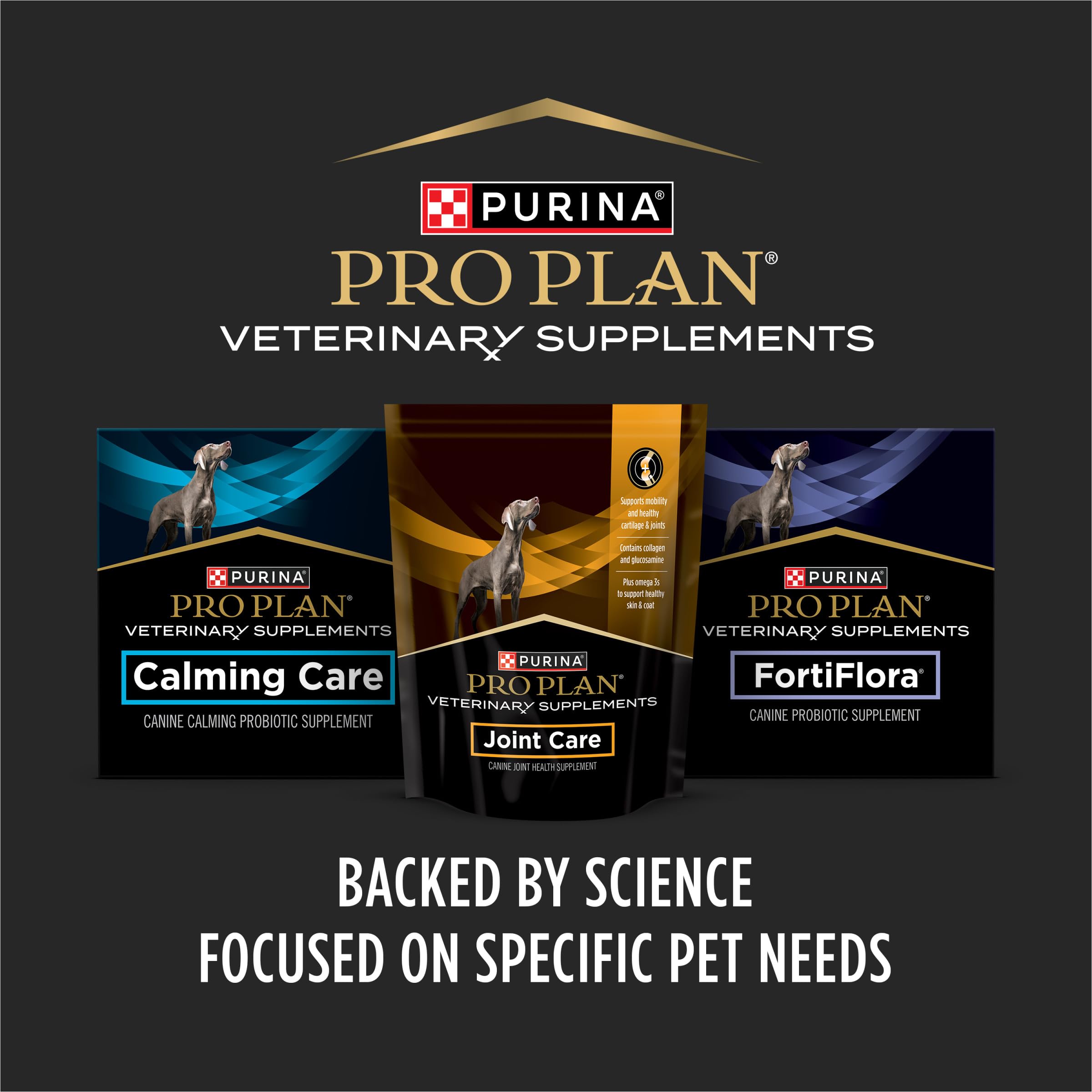 Purina Pro Plan perro aceptando tableta como premio y apoyo digestivo