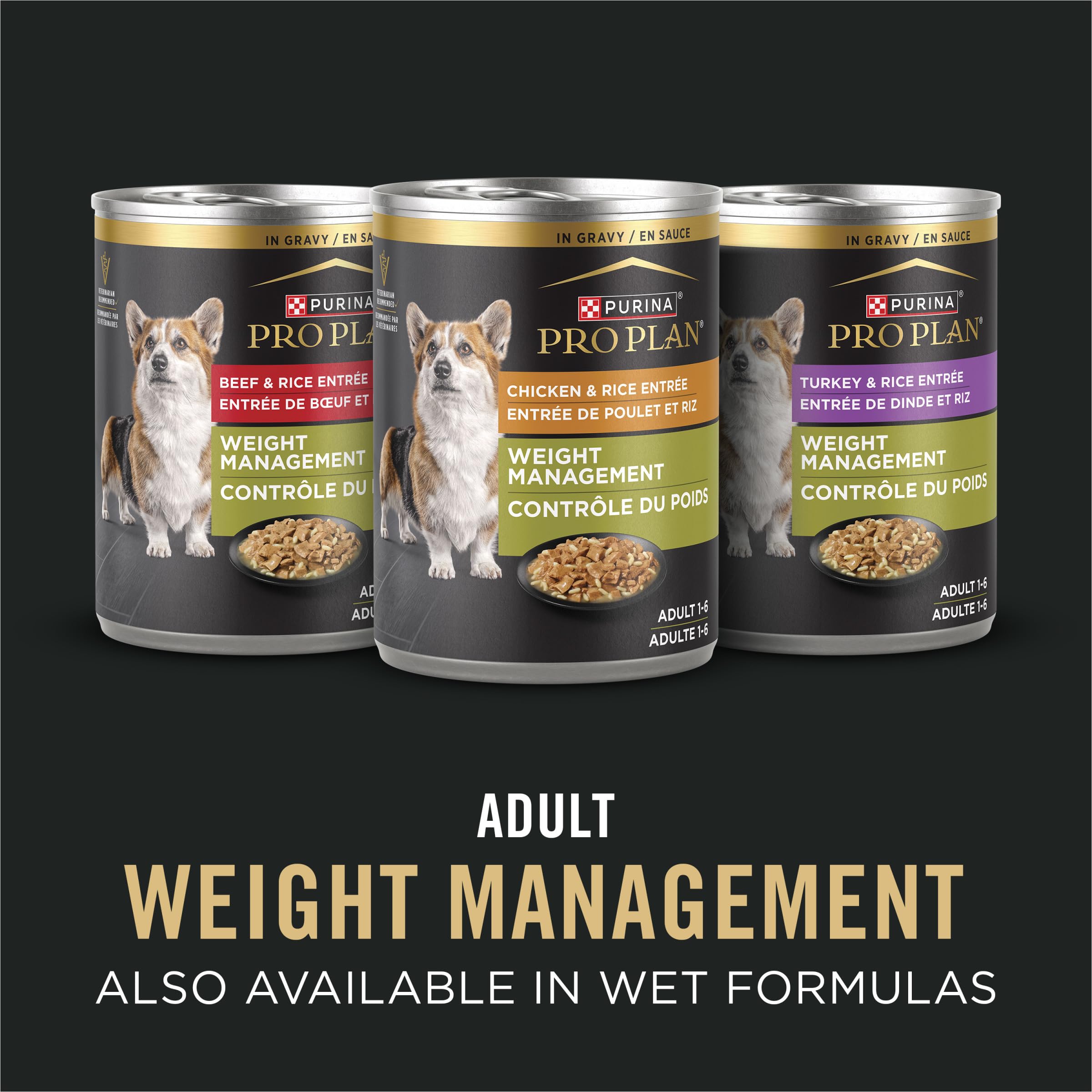 Purina Pro Plan perro sénior comiendo, enfatizando aceptación y palatabilidad