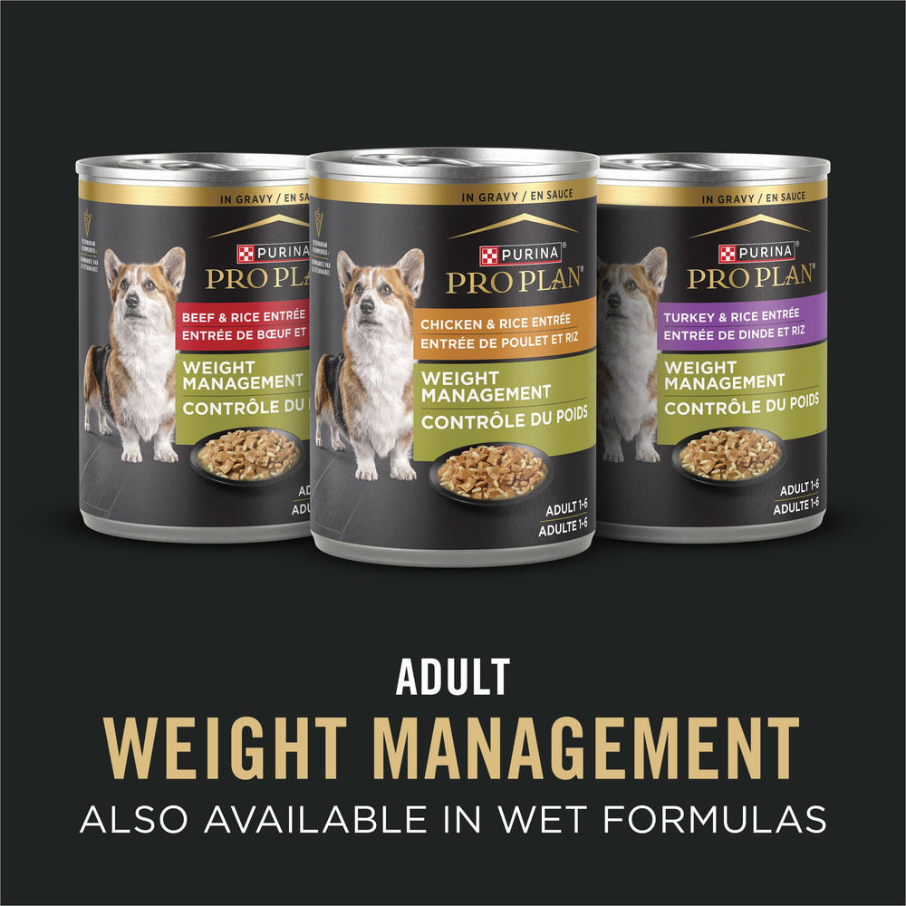 Purina Pro Plan perro sénior comiendo, enfatizando aceptación y palatabilidad