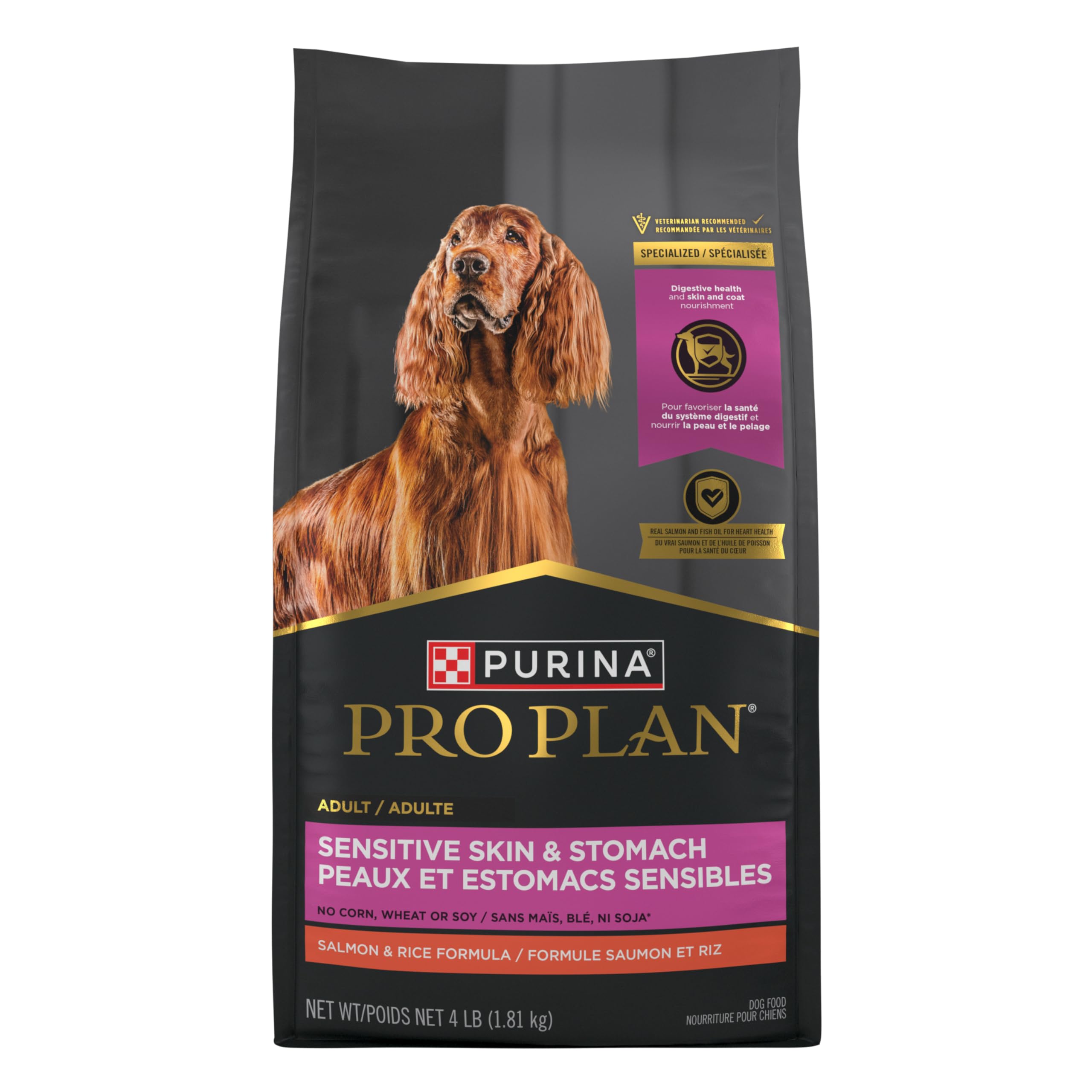 Purina Pro Plan perro adulto comiendo plato, mejora digestiva visible