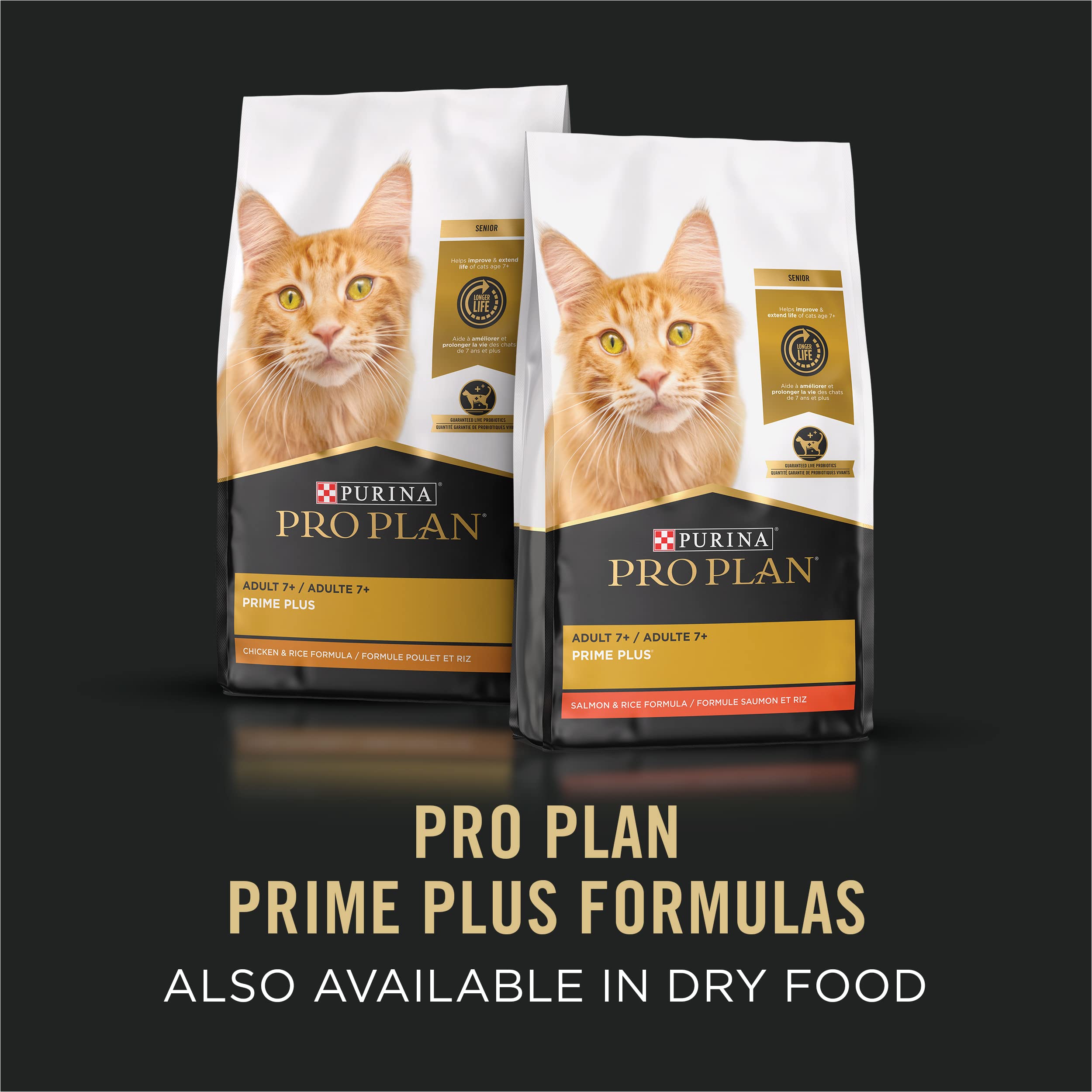 Purina Pro Plan paté servido en plato para alimentación diaria controlada