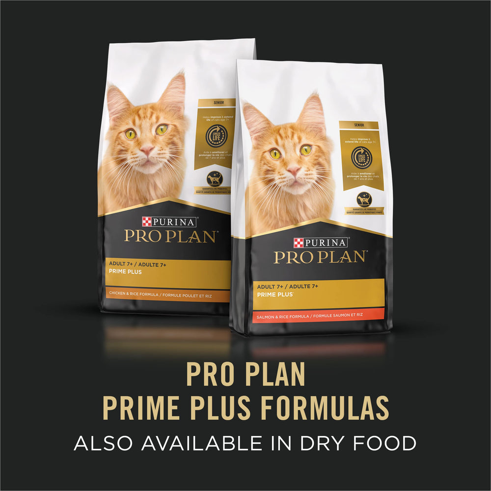 Purina Pro Plan paté servido en plato para alimentación diaria controlada