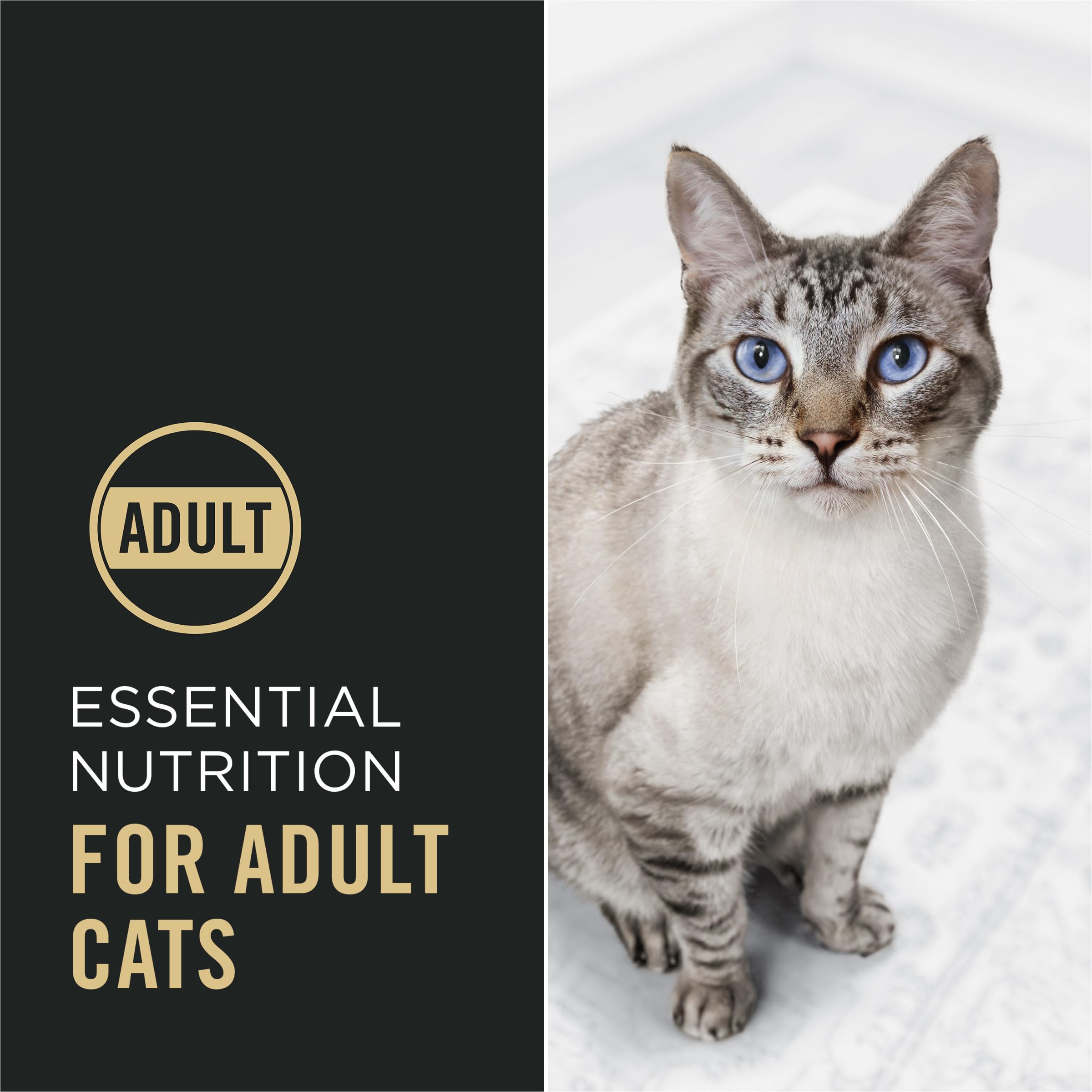Purina Pro Plan textura del pienso que indica crocancia y calidad