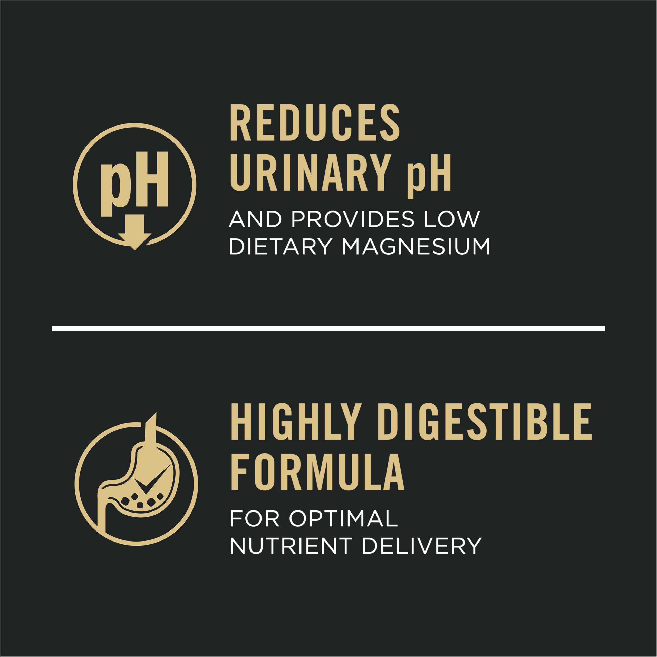 Purina Pro Plan textura pate cercana, fácil de comer y digerir