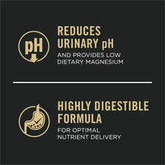 Purina Pro Plan textura pate cercana, fácil de comer y digerir