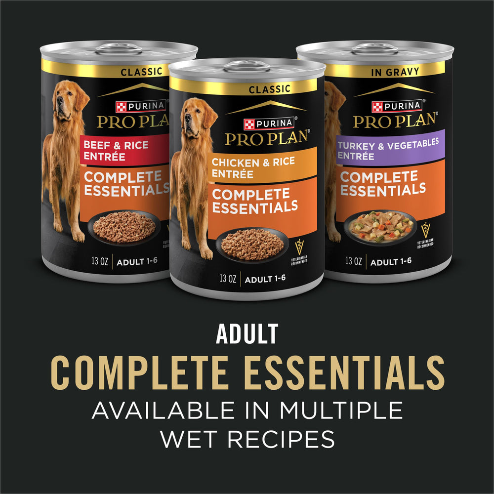 Purina Pro Plan perro activo con dueño ilustrando uso diario y bienestar