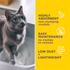 Purina Tidy Cats paquete de 8 lb junto a mano para comparar tamaño y facilidad de manejo