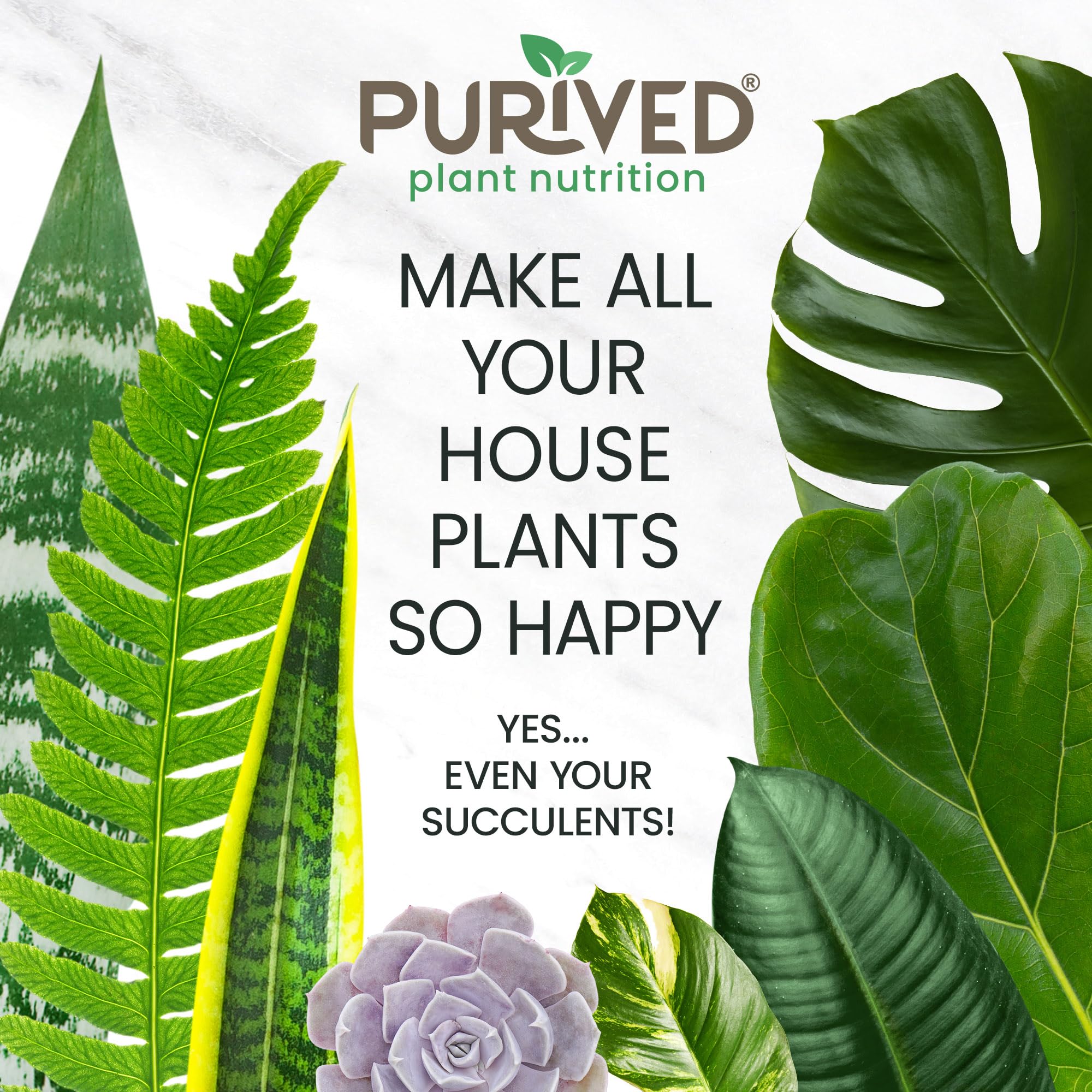 Purived pulverizado foliar sobre hojas mejora absorción rápida