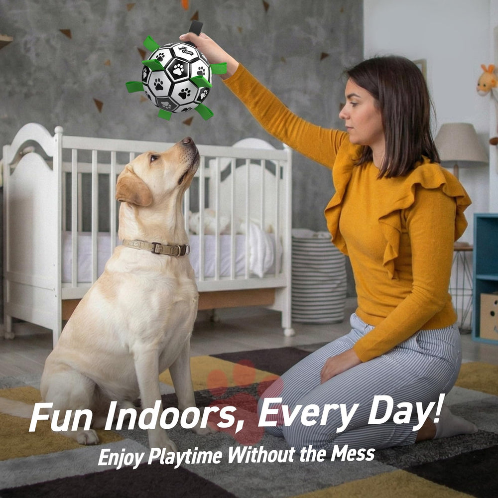 QDAN ball next to adult foot for scale showing 8-inch diameter ideal for big dogs