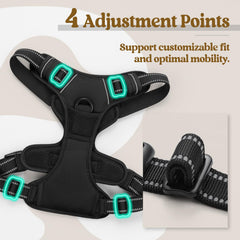 rabbitgoo anilla dorsal y asa superior para control adicional