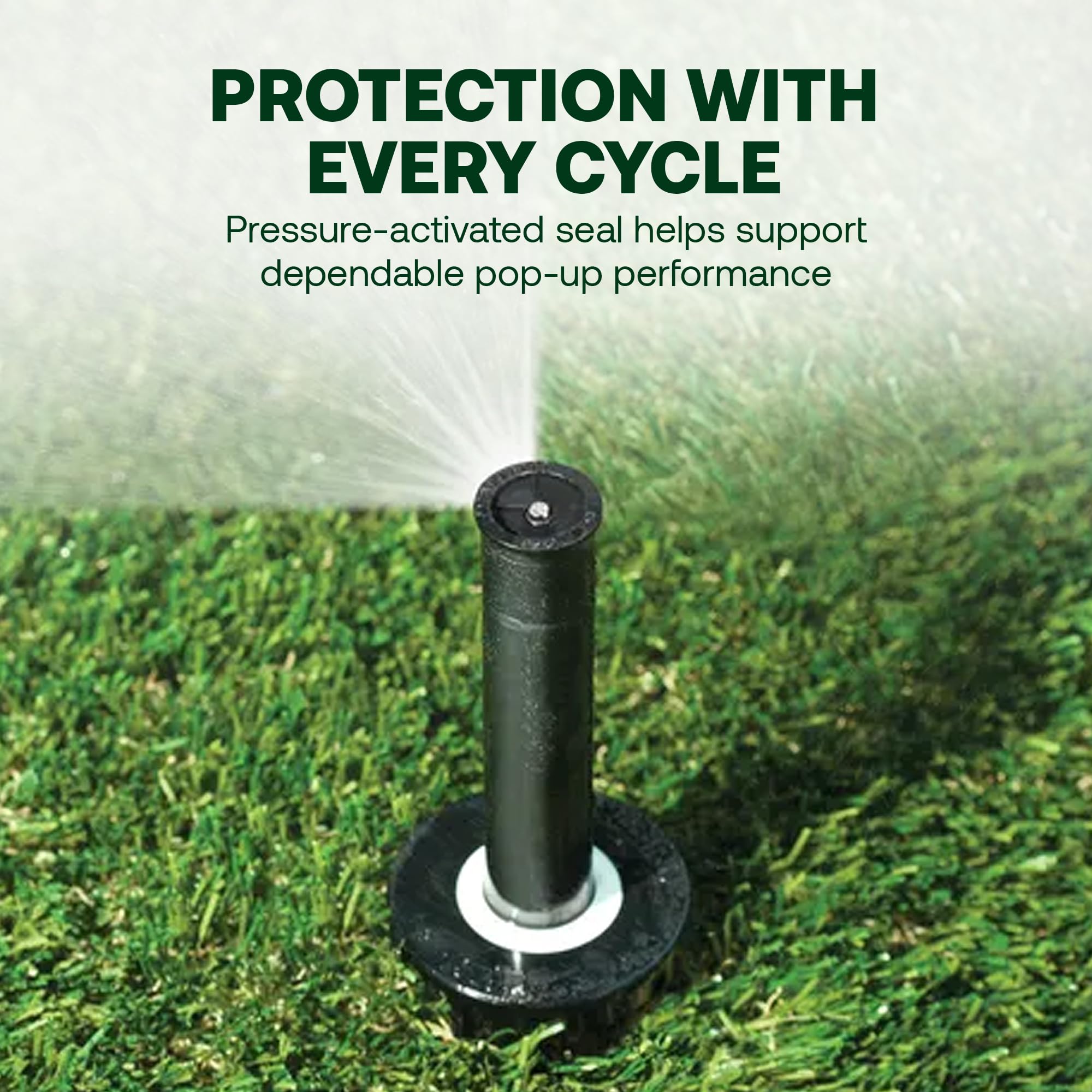 Rain Bird 1804LN installed in lawn, demonstrates discreet appearance and proper coverage