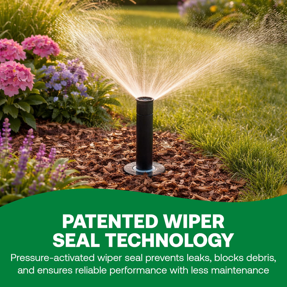 Rain Bird 1804VAN installed in lawn showing even watering and reduced overspray