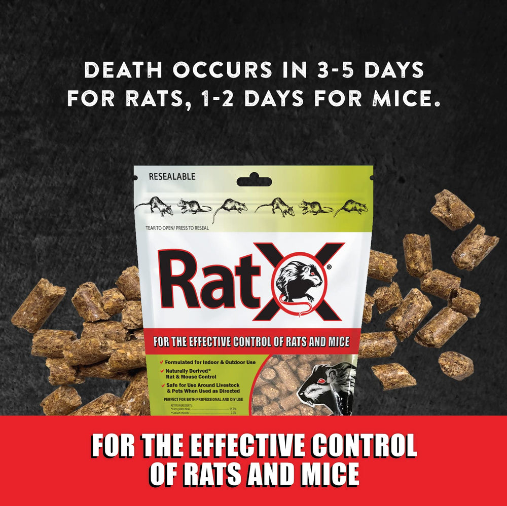 RatX detalle de textura de los pellets con apariencia natural