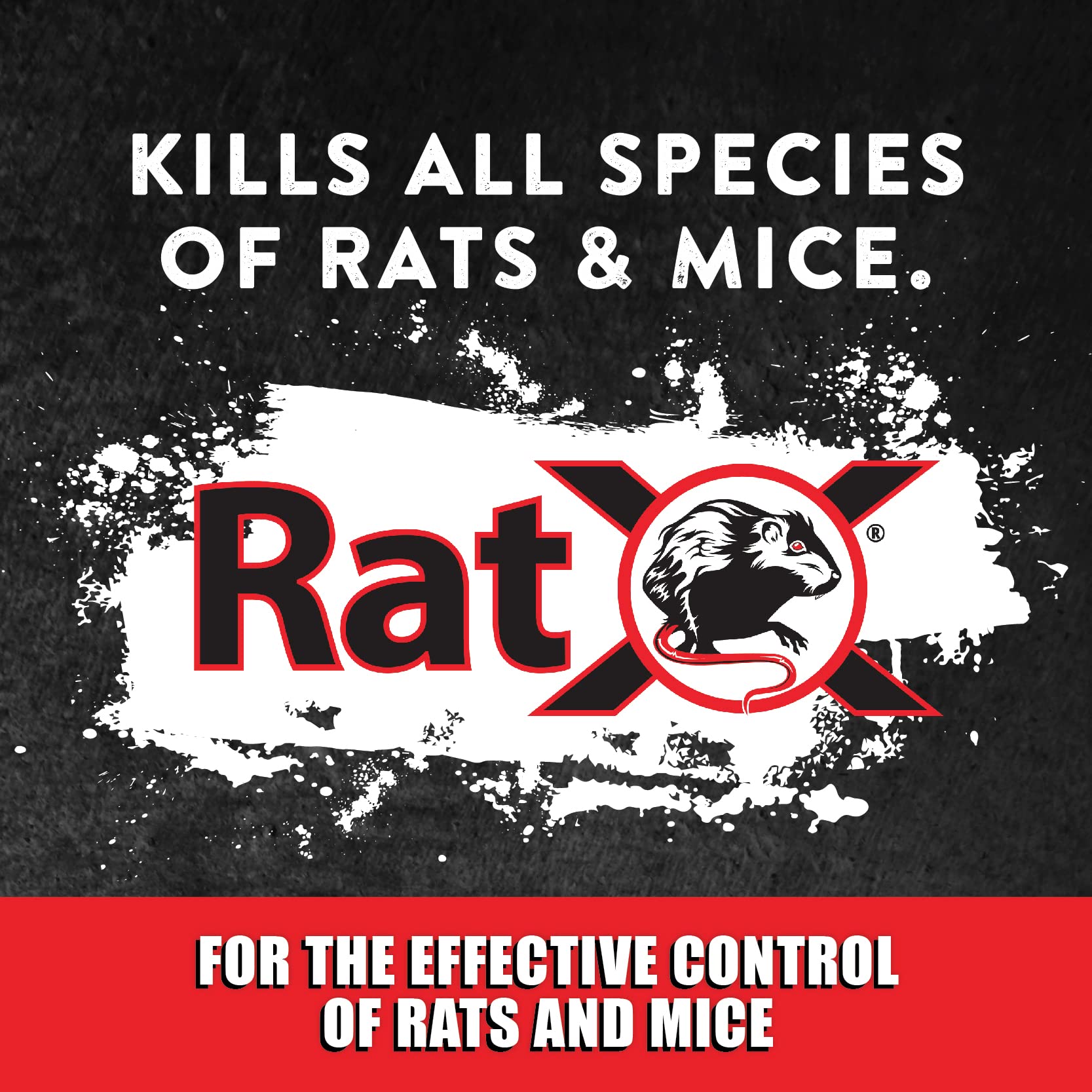 RatX pellets colocados en interior junto a zócalo reduciendo actividad