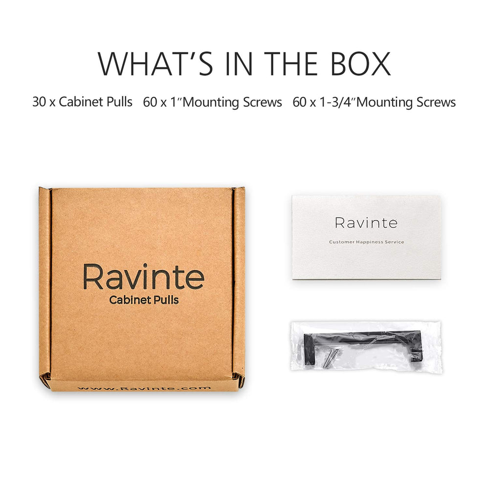 Ravinte rear view with screw showing easy installation compatibility