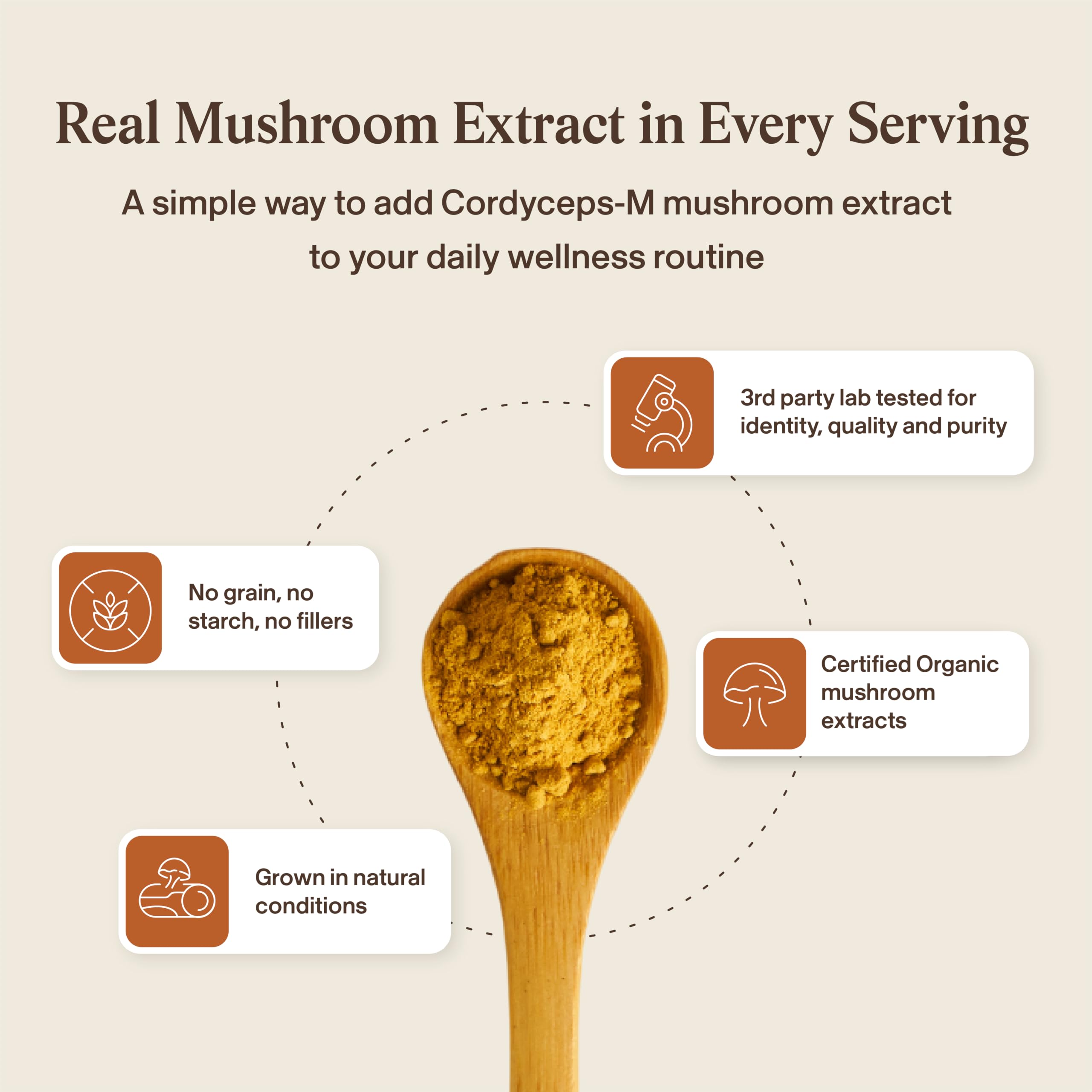 Real Mushrooms cápsula abierta mostrando contenido puro y limpio