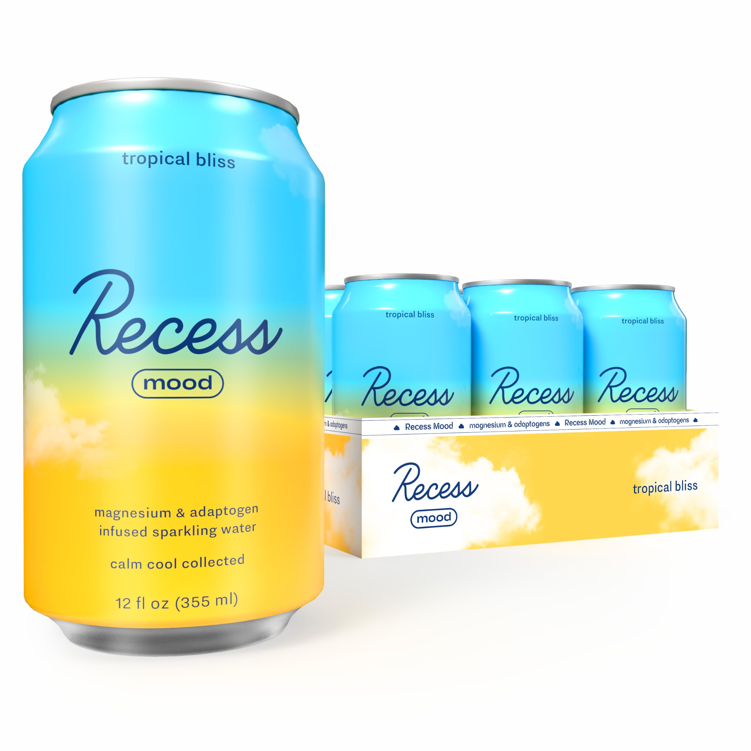 Recess Tropical Bliss vista frontal mostrando 12 latas, ideal para reuniones