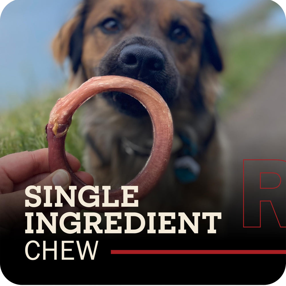 Redbarn close-up of ring texture highlighting durable chew surface benefit