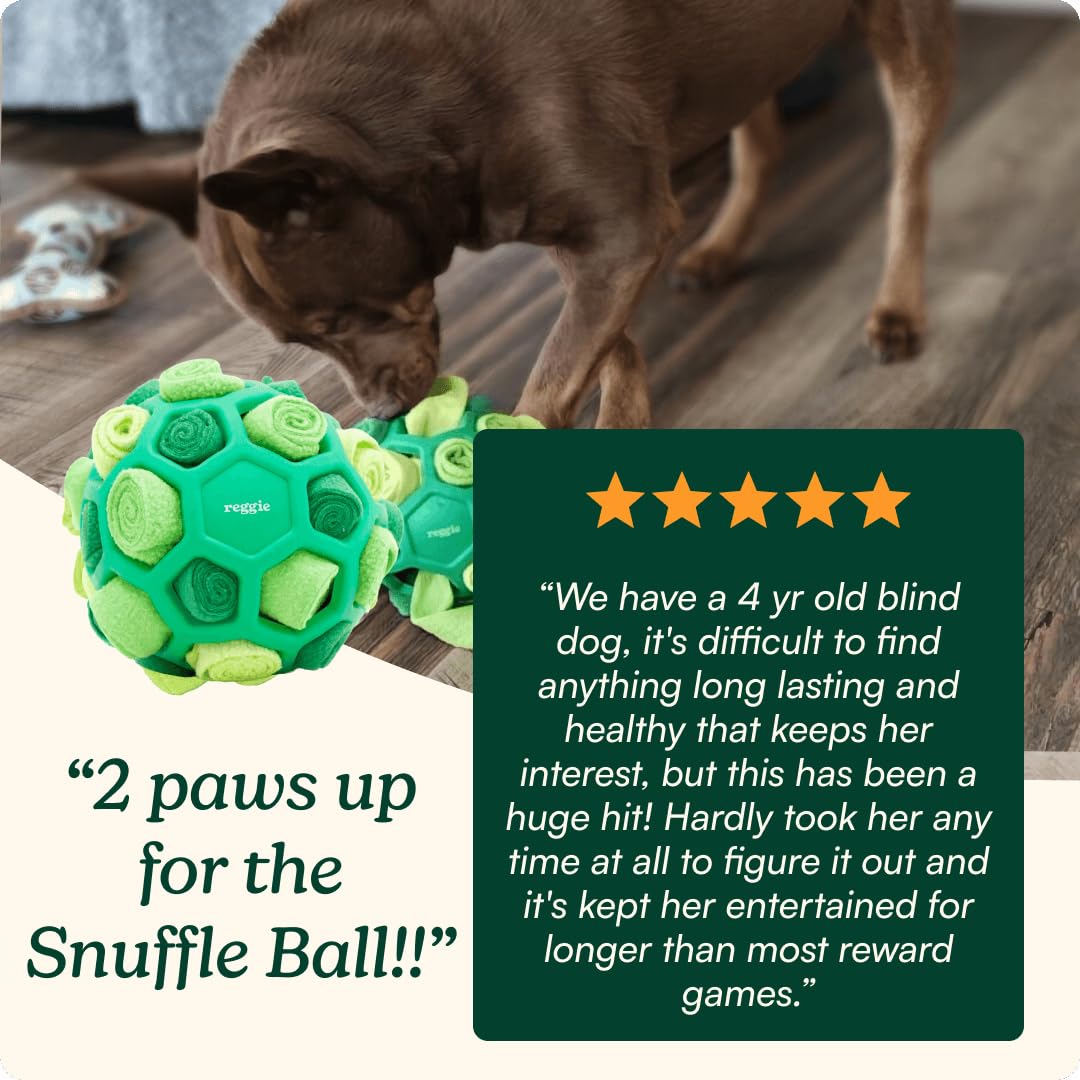 Reggie Snuffle Ball en sala de estar promoviendo juego tranquilo en casa