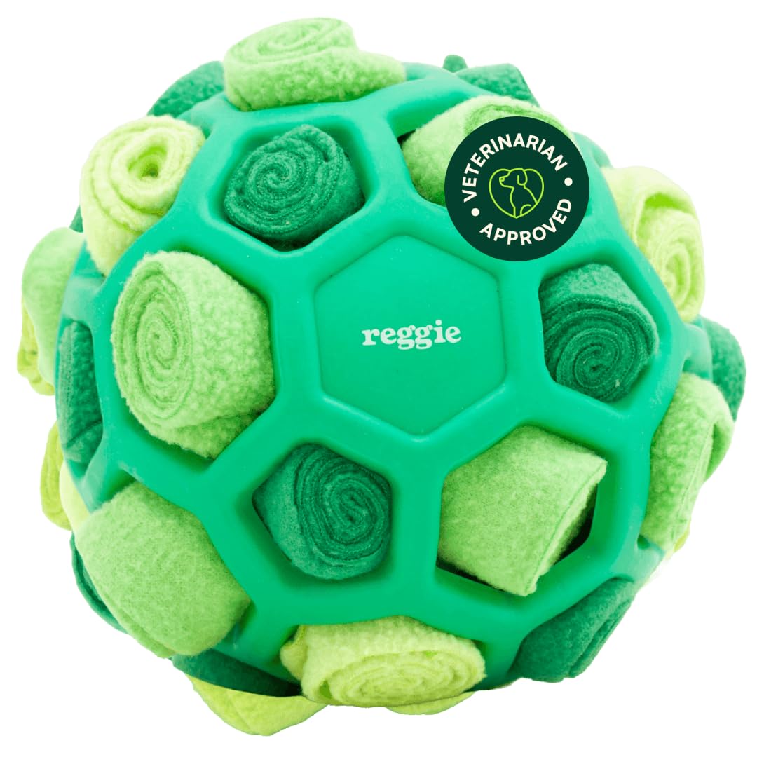 Reggie Snuffle Ball vista frontal del empaque mostrando diseño y color