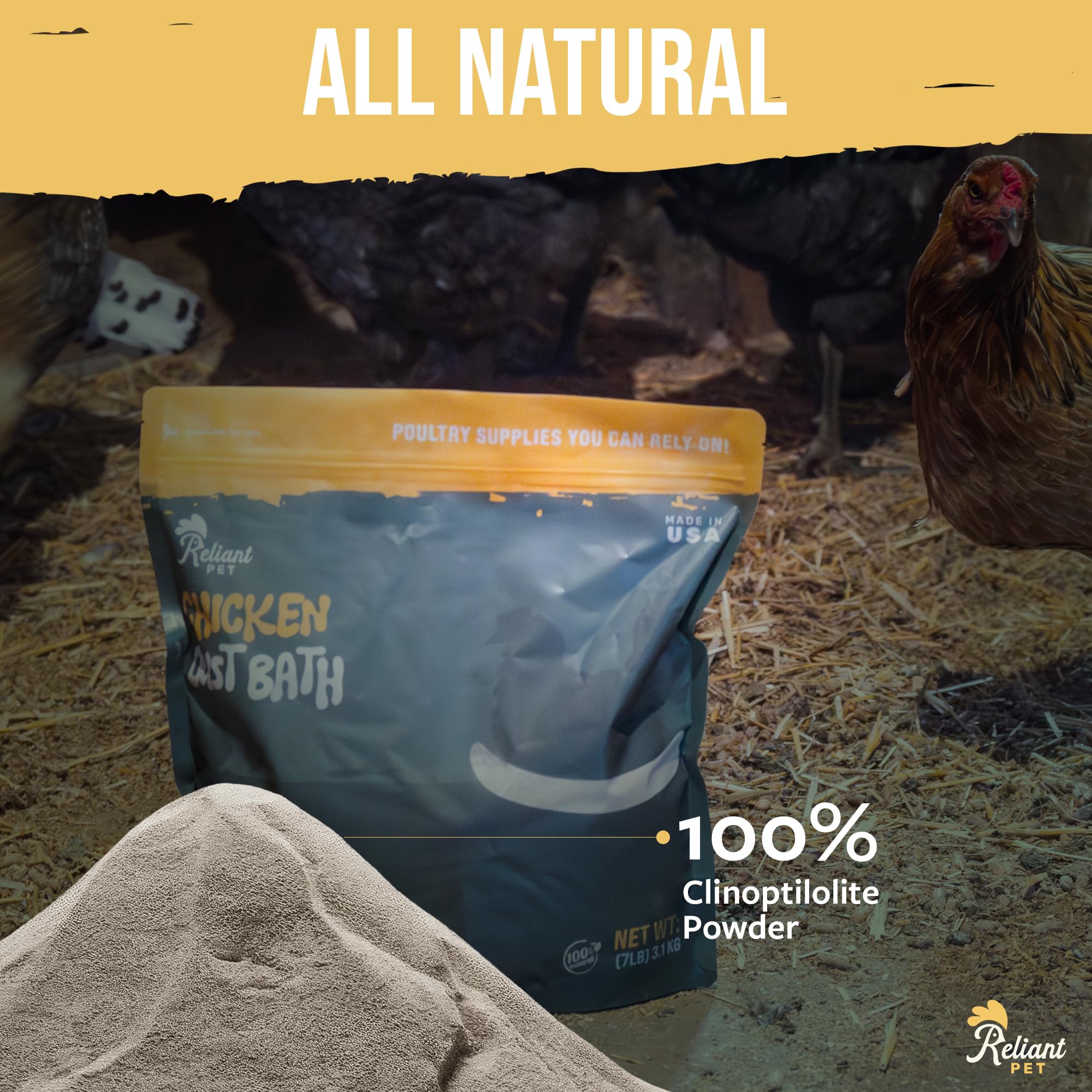 Reliant Pet chickens using dust bath showing improved feather grooming
