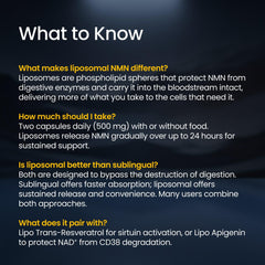 Renue By Science powder liposome graphic illustrating protective delivery benefit